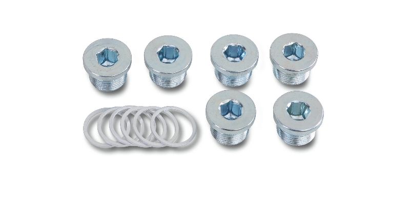 Kit with 6 oil drain plugs and washers category image