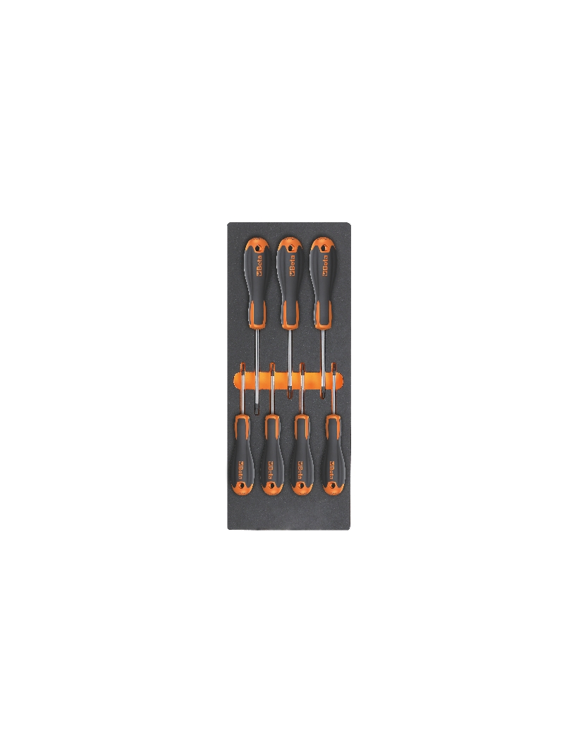 ​Foam tray with Beta Easy screwdrivers for Torx® head screws category image