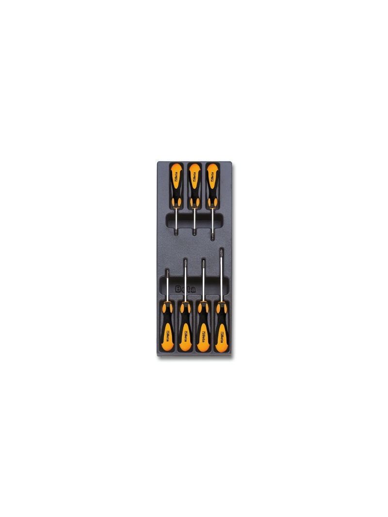 Thermoformed tray T175, empty category image