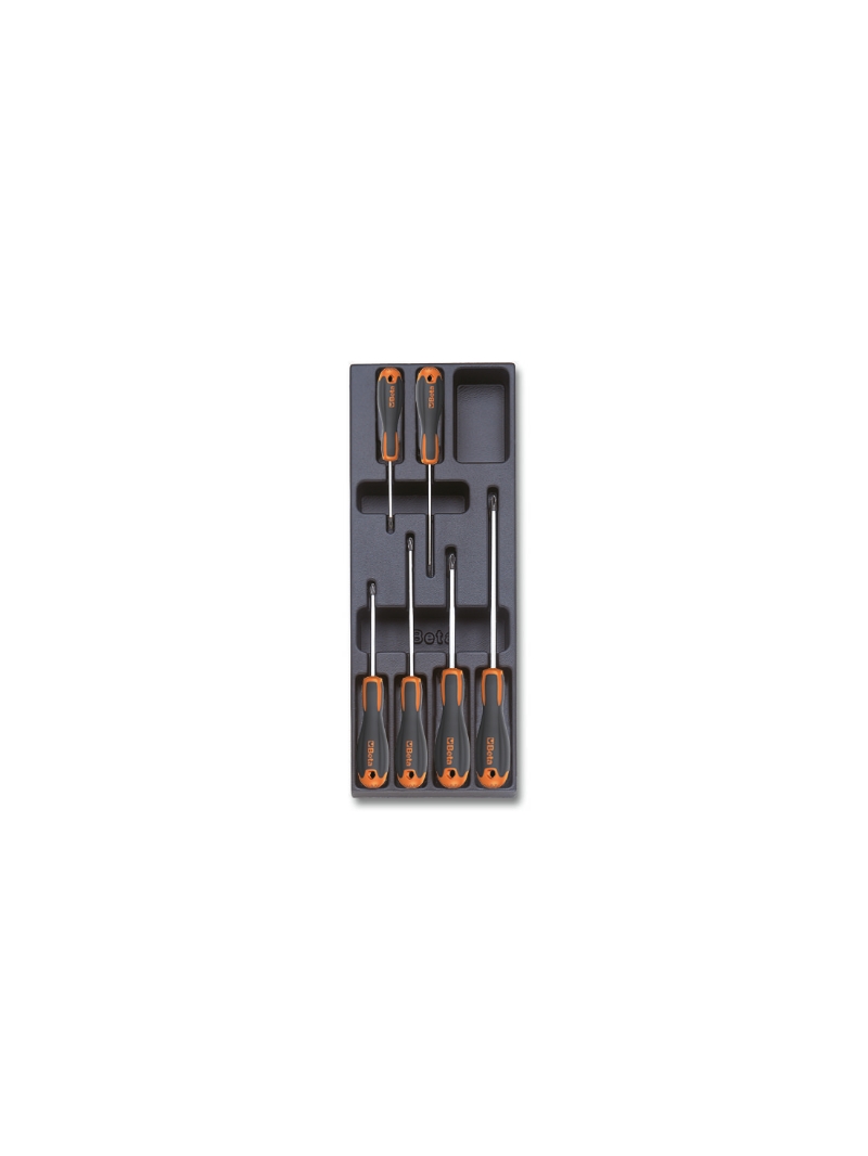 Hard thermoformed tray with Beta Evox screwdrivers for Phillips® head screws category image